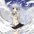 创圣angel