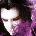 十一_月