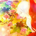 蝴蝶牙医。
