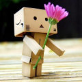 二倍不再苦逼