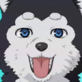 Mukiira