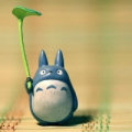 夏天的猛瘦