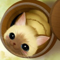 洛洛An