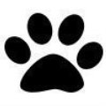 mosquitodb