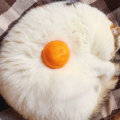 masyuepf